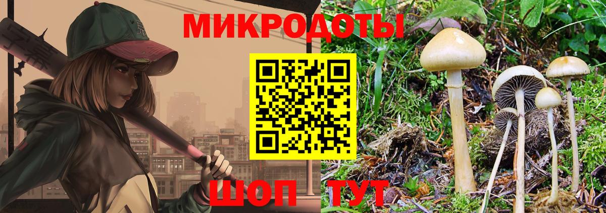 Галлюциногенные грибы Psilocybine cubensis Саратов