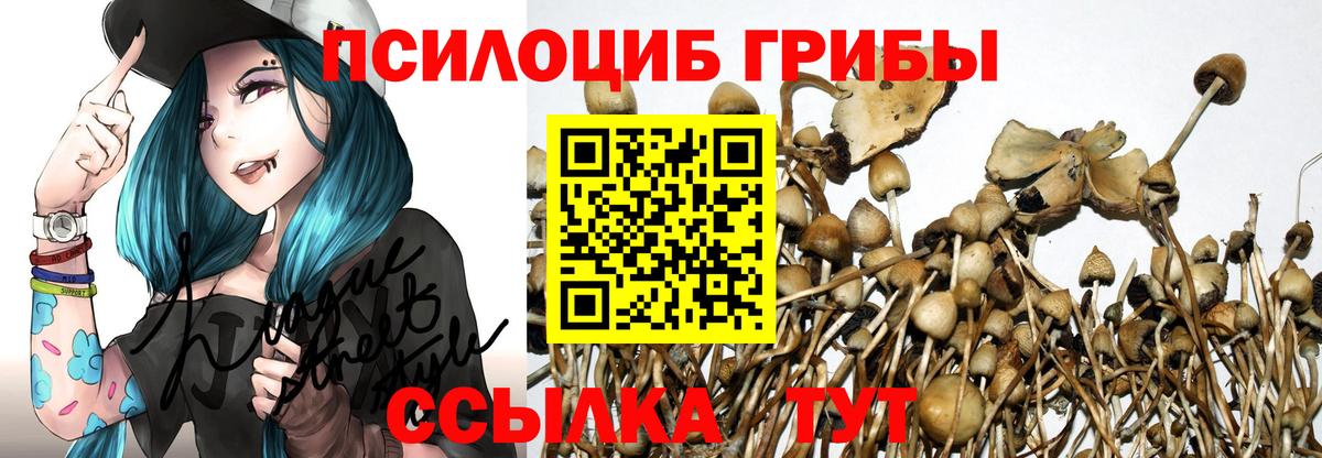 Саратов  Галлюциногенные грибы GOLDEN TEACHER  Вход с VPN  даркнет сайт  Псилоцибиновые грибы Psilocybe 